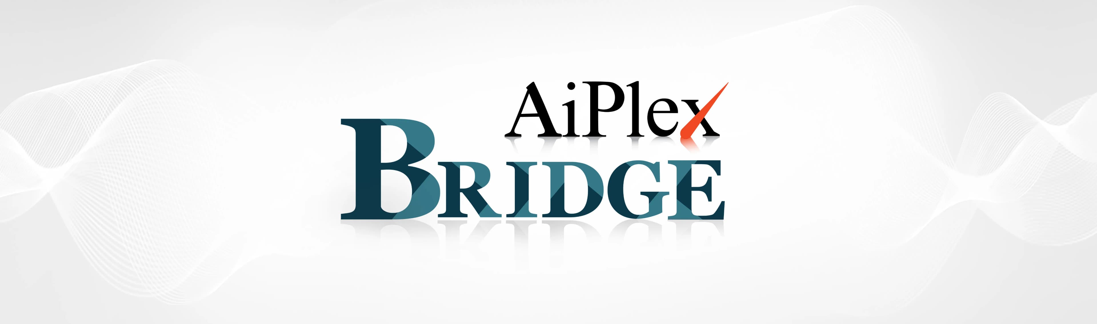 aiplex-bridge-orm-tool