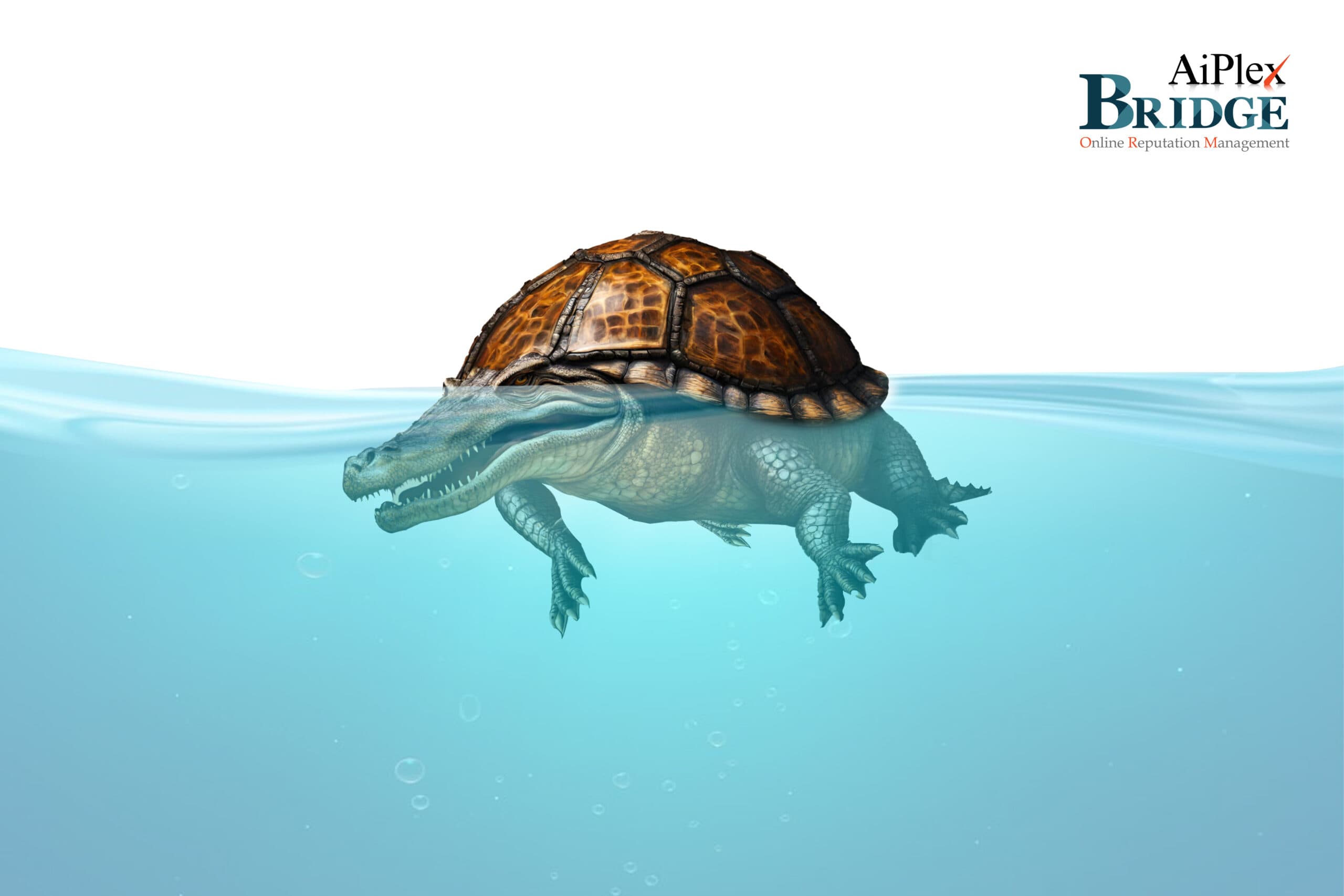 take down fake website